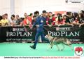 Klik untuk perbesar