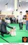 20150815-16 ; Semarang Dogshow 2015