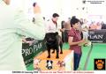 20150815-16 ; Semarang Dogshow 2015