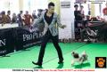 Klik untuk perbesar