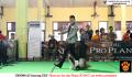 Klik untuk perbesar