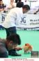 20150926-27 Pameran Anjing Perkin Jabar 4x CAC 