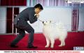 20151017 Perkin Jatim International Dog Show 2015