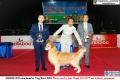 THE WINNER!! 20151017-18 Perkin Jatim International Dog Show 2015