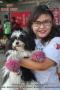 ALPO DOG RUN - Kota Semarang (2)