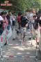 ALPO DOG RUN - Kota Semarang (2)