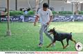 Klik untuk perbesar