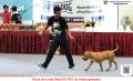 Klik untuk perbesar