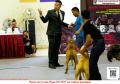 Klik untuk perbesar
