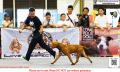 Klik untuk perbesar