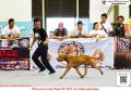 Klik untuk perbesar