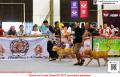 Klik untuk perbesar