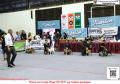 Klik untuk perbesar