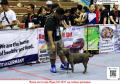 Klik untuk perbesar
