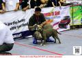 Klik untuk perbesar