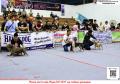 Klik untuk perbesar
