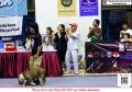 Klik untuk perbesar