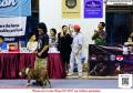 Klik untuk perbesar