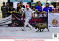 Klik untuk perbesar