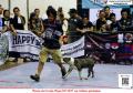 Klik untuk perbesar