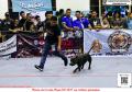 Klik untuk perbesar