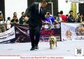 Klik untuk perbesar