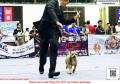 Klik untuk perbesar