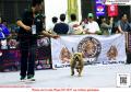 Klik untuk perbesar
