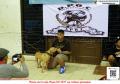 Klik untuk perbesar