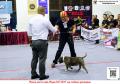 Klik untuk perbesar