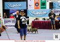 Klik untuk perbesar