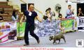 Klik untuk perbesar