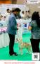 20151114 Jakarta DS PERKIN Jaya 2015
