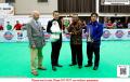 Klik untuk perbesar
