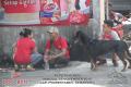 Klik untuk perbesar