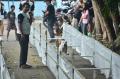 Lomba Ketangkasan Anjing Berhadiah Rp.42 Juta 