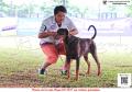 Klik untuk perbesar