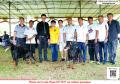 20151206 Dobermann Of The Year & Speciality