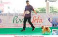 20151219 AMAZING Dog Race 7