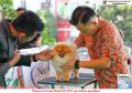 20151219 AMAZING Dog Race 7