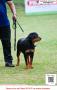 20160213-14 PERKIN JaBar Dogshow