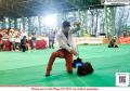 20160213-14 PERKIN JaBar Dogshow