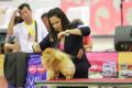 Makassar Dog Show 2016