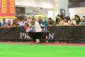 Makassar Dog Show 2016