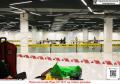 20160304-6 MKA Dogshow - Malaysia 