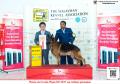20160304-6 MKA Dogshow The Winner!!!