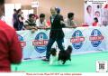 Klik untuk perbesar
