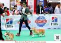 Klik untuk perbesar