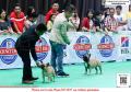 Klik untuk perbesar