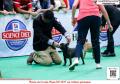 Klik untuk perbesar
